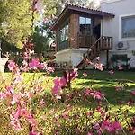 Ayse Hanim Konagi * אורלה