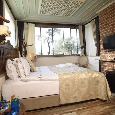 ホテル Ayse Hanim Konagi