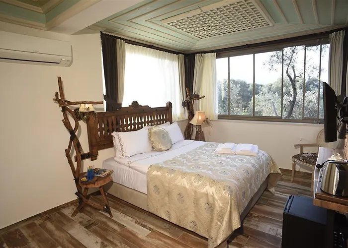 Ayse Hanim Konagi מלון