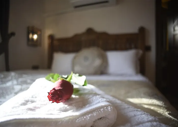 Ayse Hanim Konagi מלון אורלה