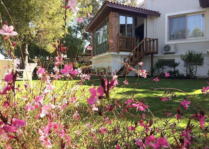 Ayse Hanim Konagi * אורלה