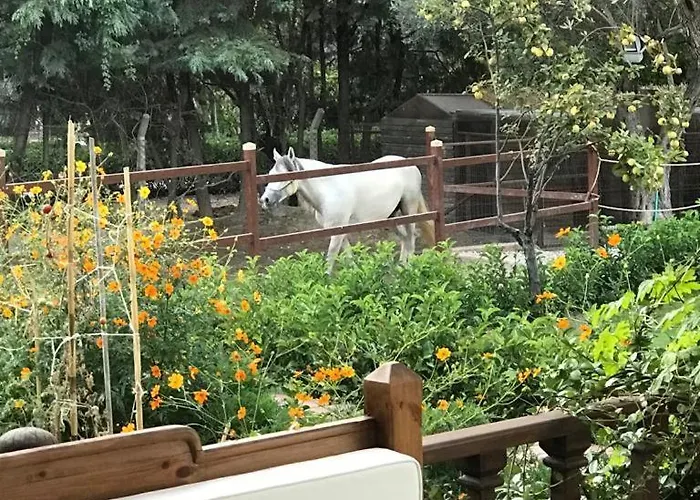 מלון Ayse Hanim Konagi