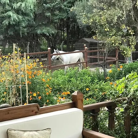 Otel Ayşe Hanım Konağı