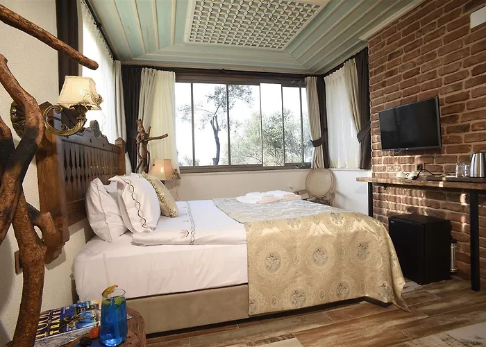 酒店 Ayse Hanim Konagi